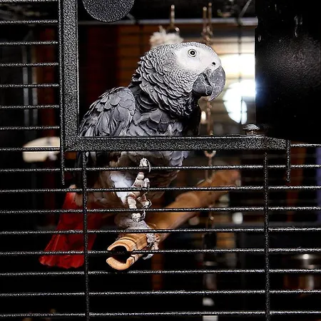 Szálloda Sunny Forum