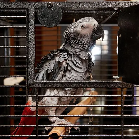 Sunny Forum Napospart