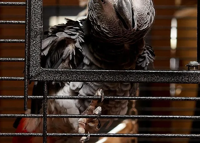 Sunny Forum 4* Słoneczny Brzeg