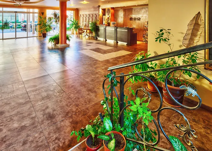 Sunny Forum Słoneczny Brzeg