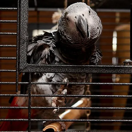 Sunny Forum 4* 阳光海滩