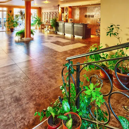 Sunny Forum Napospart